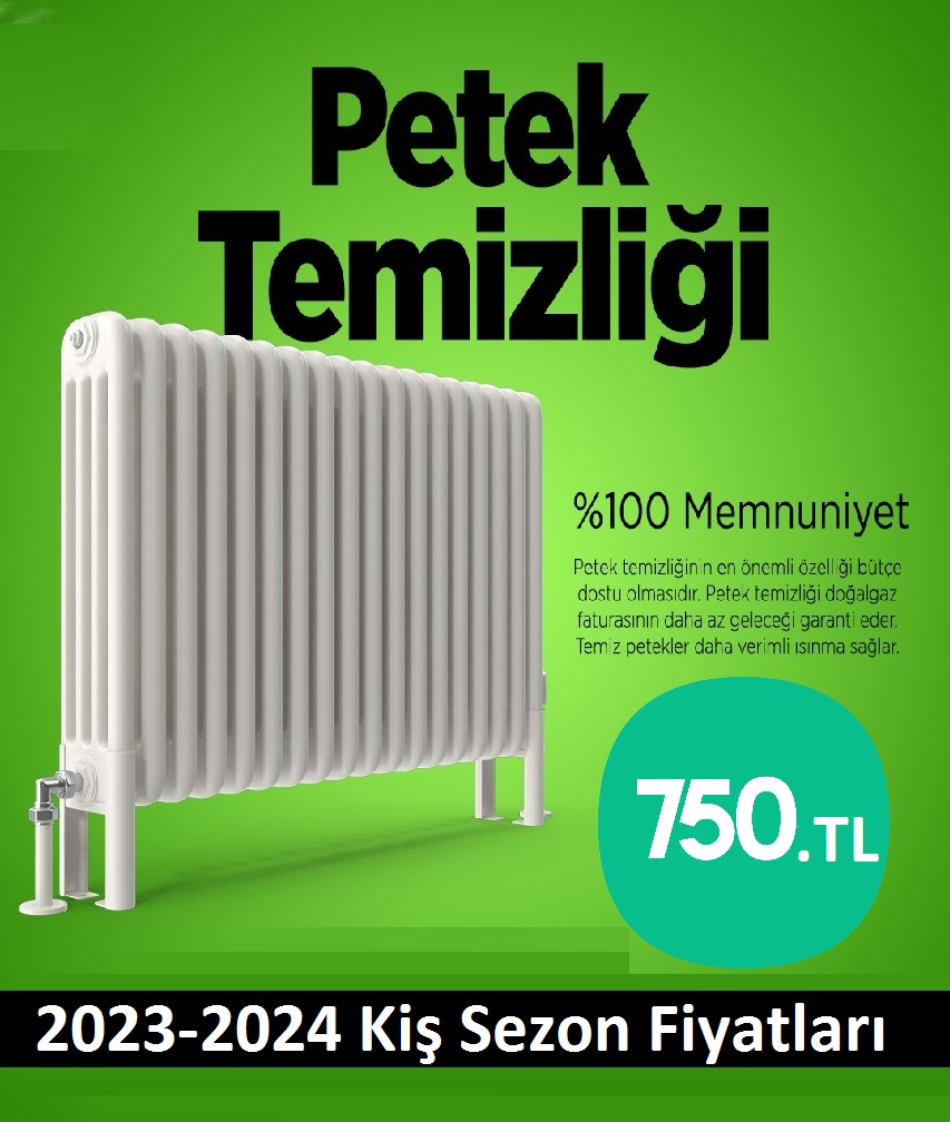 Beşiktaş Petek Temizliği Tek Fiyat Teklifi Al